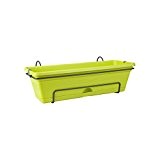 Elho Pflanz / Balkonkasten Green Basics, 50 cm, limone grün