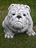 Englische Bulldogge sitzend Steinfigur, Steinfiguren + inkl. original Pflegeanleitung von Steinfiguren Welt