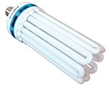 Envirogro 03-117-015 150 W CFL-Lampe, 14000 K, super-tageslichtweiß