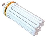 Envirogro 03-117-055 250 W CFL-Lampe, 2700 K, Warmweiß