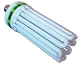 Envirogro 03-117-060 250 W CFL-Lampe 6400 K, tageslichtweiß