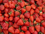 Erdbeeren 20++ Samen *Großfruchtig/Süß/Wohlschmeckend* -Super Ertrag und Winterhart-