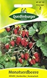 Erdbeeren, Monatserdbeeren Rügen, Fragaria vesca, ca. 100 Samen