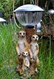 Erdmännchenfamilie mit Solar Laterne Lampe Erdmännchen Figur