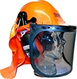 eseno Industrie Chainsaw/Forstwirtschaft Sicherheit Helm Kit mit Gehörschutz, Augenschutz & Nackenschutz