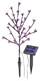 esotec Solar LED Blütenstrauch, rosa 102104