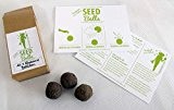 'Essbare Blüten' Seedballs - 10er Packung Seedbombs