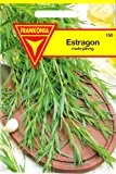 Estragon, Artemisia dracunculus, ca. 200 Samen