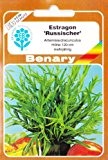 Estragon, Russischer, Artemisia dracunculus, ca. 400 Samen