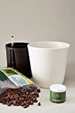 EVRGREEN | Hydrokultur-Umtopfset für Hydropflanzen | 18/19er Keramiktopf in creme inkl. 200 ml Langzeitdünger Lewatit® HD 50