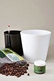 EVRGREEN | Hydrokultur-Umtopfset für Hydropflanzen | 18/19er Keramiktopf in weiß inkl. 200 ml Langzeitdünger Lewatit® HD 50