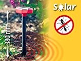 Exbuster Solar-Ameisenschock: Ameisen-Stop ohne Chemie