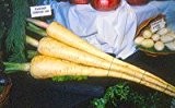 Exhibition Vegetable - Robinsons Parsnip Exhibition Long - 100 Seeds