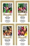 exotic-samen Saatgutsortiment Gemüsesortiment - bunte Mischungen - Radieschen, Mangold, Möhren, rote Beete - 650 Samen, grün