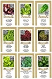 exotic-samen Saatgutsortiment Saatgut Sortiment - Salatbeet - 9 Sorten - 1950 Samen, grün