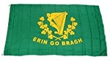 Fahne / Flagge Irland - Erin go Bragh NEU 90 x 150 cm