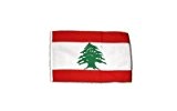 Fahne Flagge Libanon 30 x45 cm