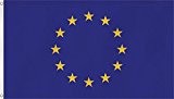 Fahne / Flagge mit zwei Metallösen zur Befestigung und zum Hissen - Größe 90 x 150 cm Farbe Europa