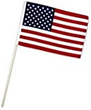 Fahne Flagge USA 30 x 45 cm mit Stab