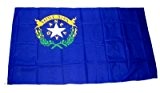 Fahne / Flagge USA Nevada NEU 90 x 150 cm Flaggen