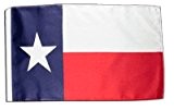 Fahne Flagge USA Texas 30 x45 cm
