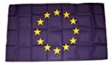 Fahne Stockflagge Europa 12 Sterne 30 x 45 cm Flagge
