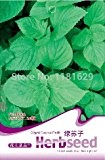 Familie Brassicaceae Wasabia Japonica 200pcs, Wasabi Gemüse Japanische Senfkörner, japanischen Meerrettich Perennial Kräutersamen