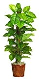 Fast Nat-rliche 6594-0508 63 Zoll gro-en Blatt Philodendron Pflanze Silk Real Touch