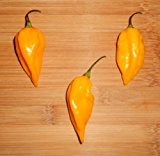 Fatalli Gelb/Yellow 10 Samen (Extra scharfe Chili)