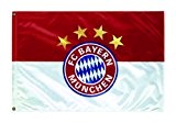 FC Bayern Fahne Originalware Flagge 60 x 90 cm Motiv LOGO + Ösen Service