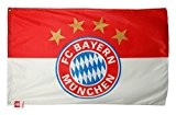 FC Bayern München Flagge mit Ösen Fahne Logo ca. 100x150 cm Fanartikel