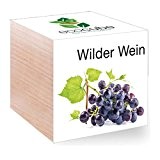 Feel Green EcoCube Wilder Wein