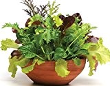Feinschmecker Salatmischung - Salate - 500 Samen