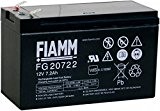 FIAMM Akku als Ersatz für Batterie FG20722 12V 7.2Ah AGM Akku