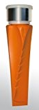 Fiskars Dreh-Spaltkeil SAFE-T (geschmiedet) mit Antivibrationsschlagfläche , Orange