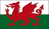 Flagge Fahne Drachen (Wales) 90x150cm