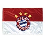 Flagge Fahne FC Bayern München Logo Hissflagge 150x250 cm