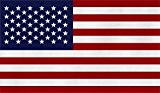 Flagge Großformat 250 x 150 cm wetterfest Fahne in 16 verschiedenen Ausführungen mit Ösen Farbe USA