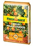 Floragard Zitruspflanzenerde 10 L
