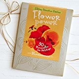 Flower Power - Wildblumensamenmischung für Nützlinge im Geschenkkarton