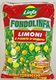 fondolinfa Zitronen Pflanzbeutel für Zitronen und Pflanzen von Zitrusfrüchten Stück 10 lt