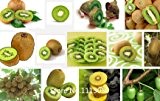 Förderung Kiwi-Frucht Samen Topfpflanzen Mini-Baum Ernährung ist reich Schöne Bonsai Obstbäume Kiwi Samen Peach 100 PCS Novel