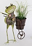 formano Dekofigur Frosch als Pflanzkorb Übertopp Blumentopf Pflanztopf, grün braun, 40 cm