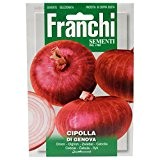Franchi Samen Rote Zwiebel Red Onion of Genova