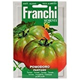 Franchi Samen Tomate Pantano of Rome