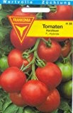 Frankonia H35 Tomaten Harzfeuer F1 Hybride, Samen