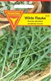 Frankonia S51 Wilde Rauke, Rucola selvatica, mehrjährig, Samen
