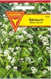 Frankonia S57 Bärlauch, Allium ursinum, Samen