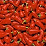 Fresno - rotes, scharfes Chili - ähnlich wie Jalapeno - 20 Samen