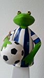 Frosch ZaunHocker Fußball Deko Fußballer blau-weiß Metall, 10x11x20 cm